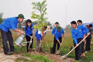 Education sector promotes tree planting festival in gratitude to Uncle Ho