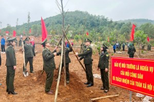 Tet Tree Planting Festival to be launched in Hai Duong on February 19