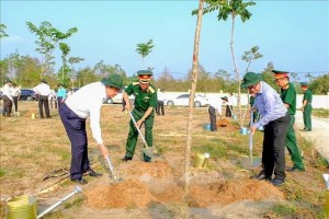 Can Tho Military Command launches 2024 Tree Planting Festival