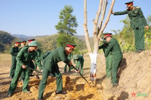 Dien Bien Military Command plants more than 1,500 trees