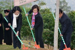 Over 80,700 trees planted at Pac Bo special national relic site