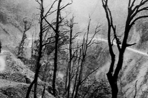 Art program to recall memories of legendary Ho Chi Minh trail