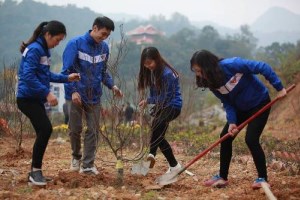 Young people carry out practical activities in obeying Uncle Ho’s commandments