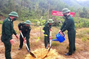 Da Nang border guard plants trees to pay gratitude to Uncle Ho