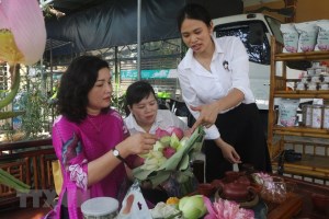 Developing lotus plants associated with tourism in Kim Lien commune