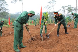 Tree planting launched at K9 historical relics in Hanoi