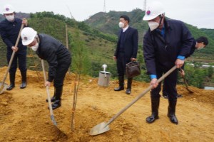 Labour confederation organizes tree-planting festival in gratitude to Uncle Ho