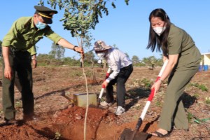 Ba Ria – Vung Tau launches tree-planting festival