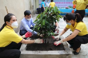 Tree planting festival in gratitude to Uncle Ho launched in HCMC’s district