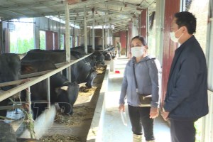 Thai Binh enhances studying and following Uncle Ho with practical work