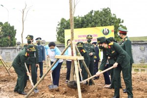 Tree planting festival launched in gratitude of Uncle Ho