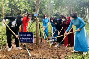 Hanoi Women’s Union aunches tree-planting festival