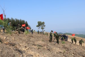 Bac Giang: Over 1.5 million trees planted in gratitude to Uncle Ho