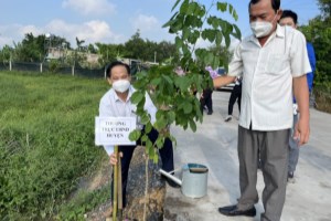 Tree planting organized in obeying to Uncle Ho’s teachings