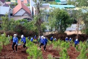 Dak Nong launches tree planting festival in enternal gratitude to Uncle Ho