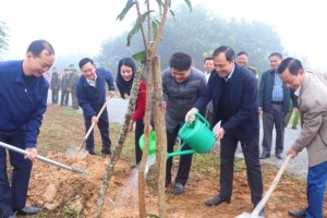 "Tree planting festival in gratitude to Uncle Ho" launched in Ha Tinh province’s Vu Quang district