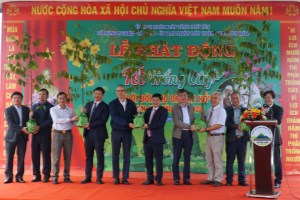 Tree planting festival launched in Phu Yen province