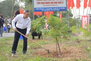 Da Nang launches tree planting festival in gratitude to Uncle Ho