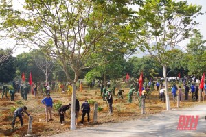 Thanh Hoa Border Guard plants over 1,000 trees in gratitude to Uncle Ho