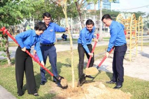 Da Nang Youth Union launches tree planting festival