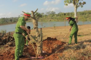 Dak Lak province: Trees planted in gratitude to President Ho Chi Minh