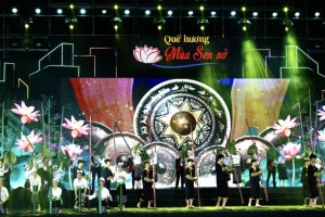 Street festival held to mark President Ho Chi Minh’s 133rd birthday