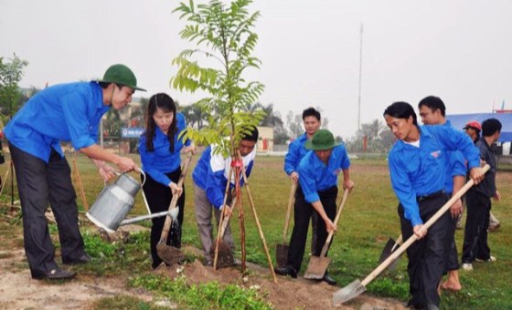 Education sector promotes tree planting festival in gratitude to Uncle Ho