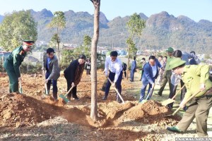 Tree planting festival launched in Lai Chau province