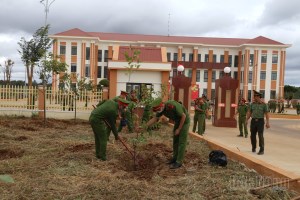 Dak Nong Public Security launches tree planting festival