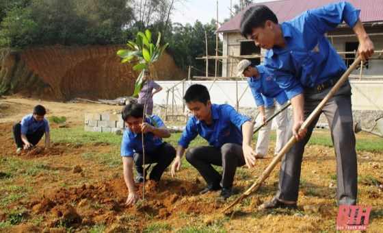 Thanh Hoa plants over 3 million trees during the "Tree Planting Festival in gratitude to President Ho Chi Minh"