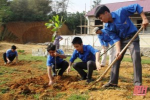 Thanh Hoa plants over 3 million trees during the "Tree Planting Festival in gratitude to President Ho Chi Minh"