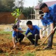 Thanh Hoa plants over 3 million trees during the "Tree Planting Festival in gratitude to President Ho Chi Minh"