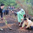 Promoting tradition of "Tree Planting Festival in Eternal Gratitude to President Ho Chi Minh"