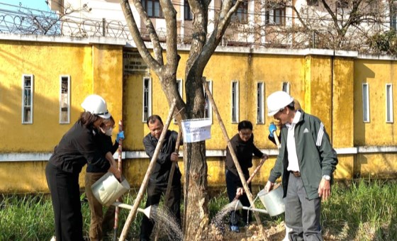 Hue University organizes tree planting festival